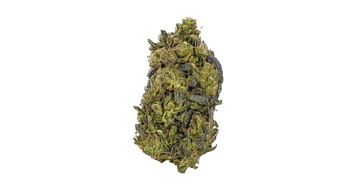 Epic Buzz®