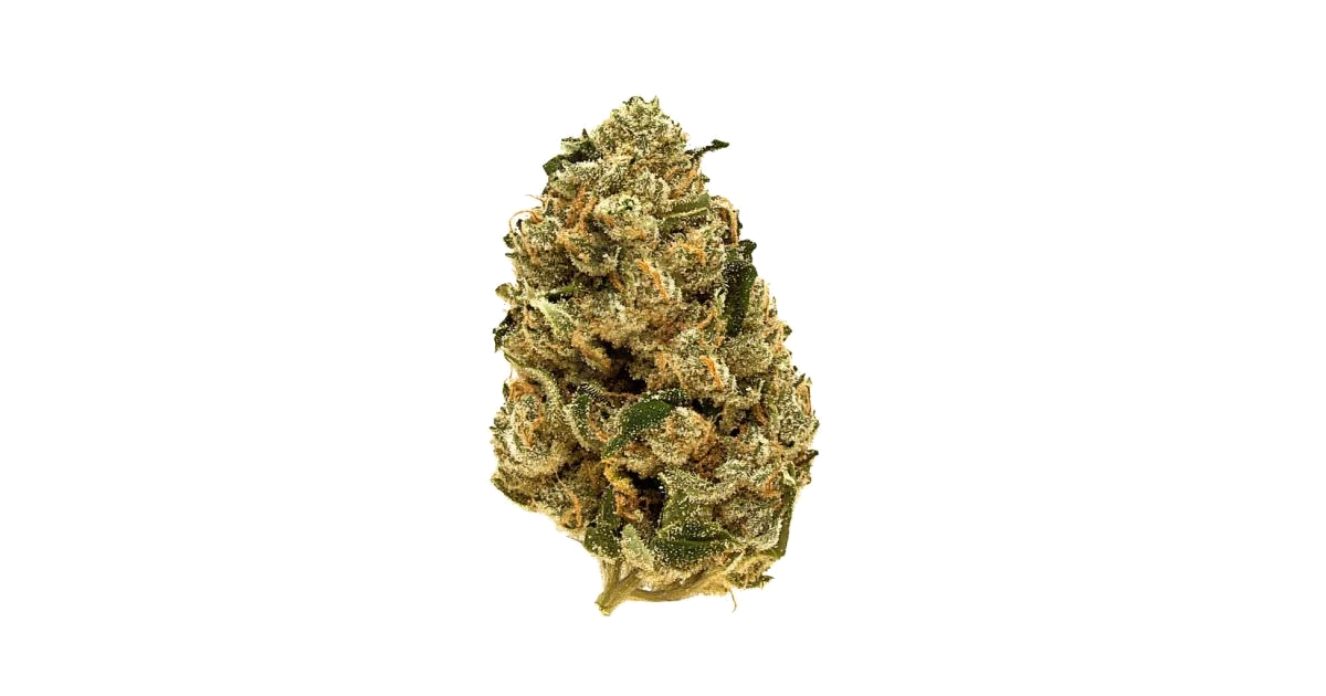 Florida Orange