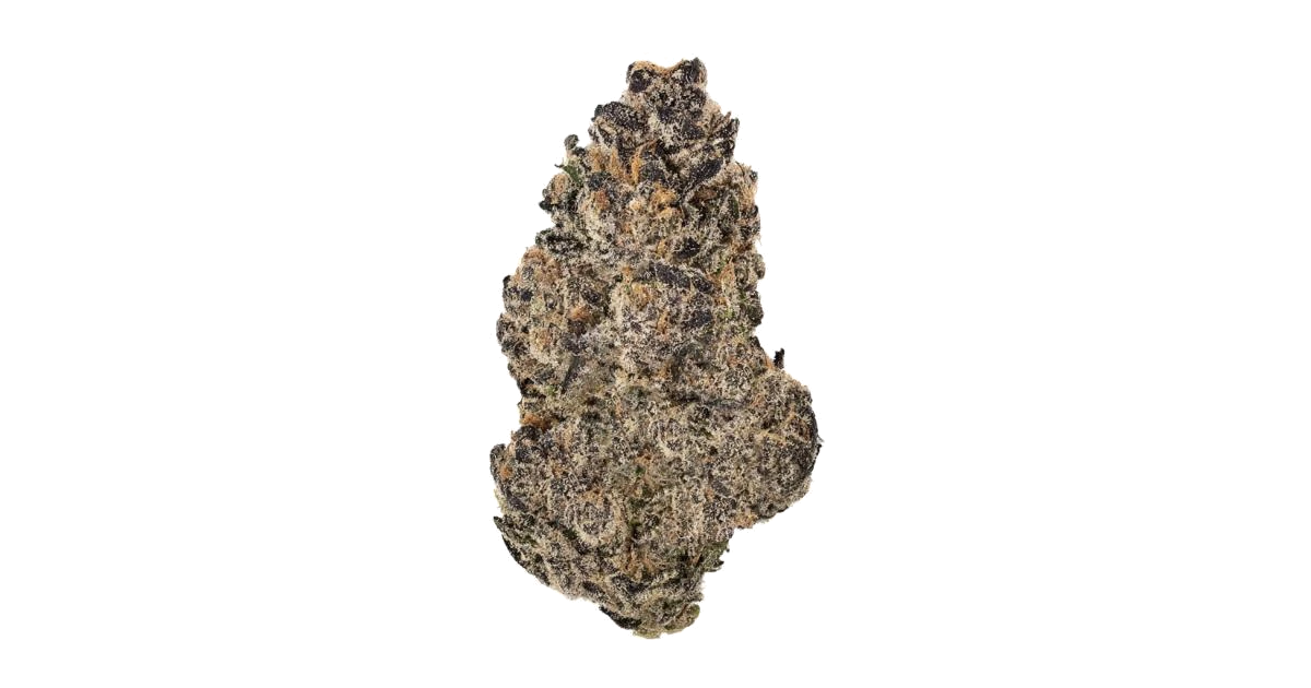 Fritter Banger