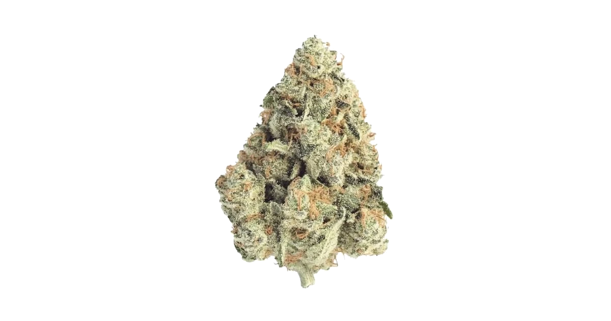Frostbanger Auto