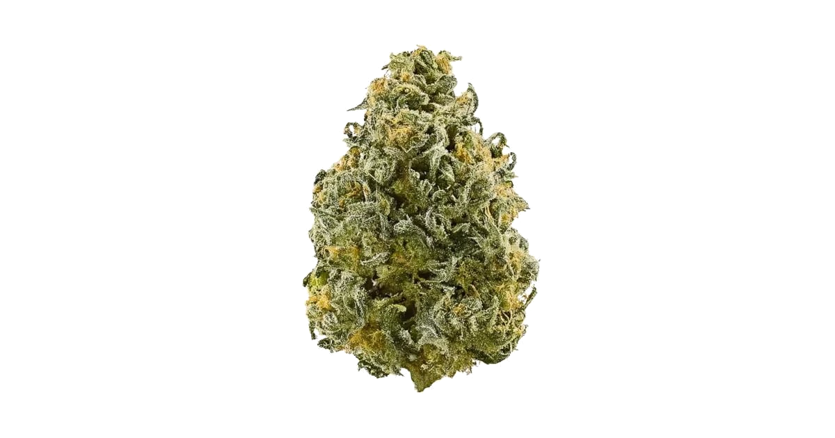 Frosted Enigma