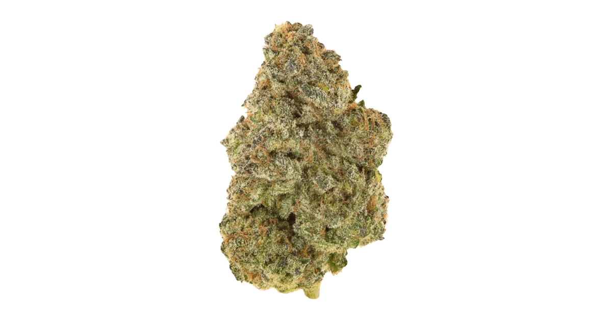 Frozen Gelato