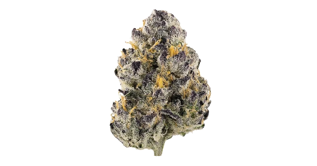Fruit Of The Gloom