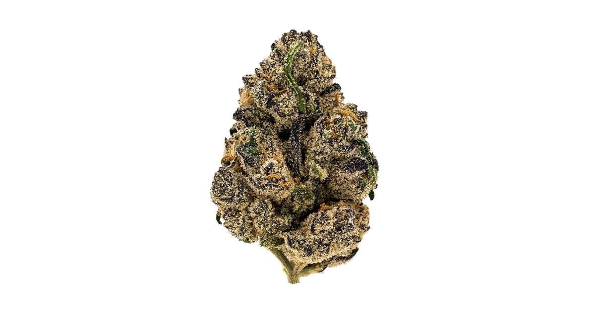 Fruit of the Lumens