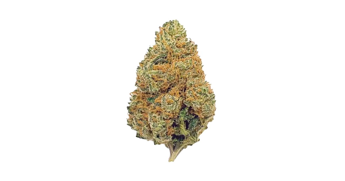 Fruit Punch