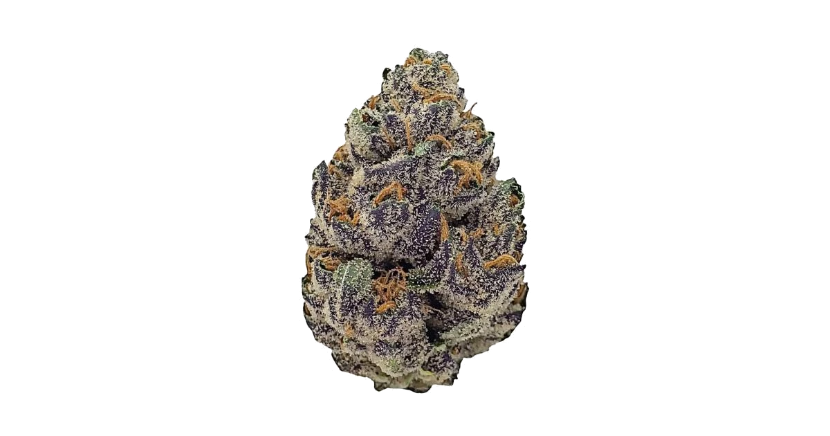 Fryday Boof
