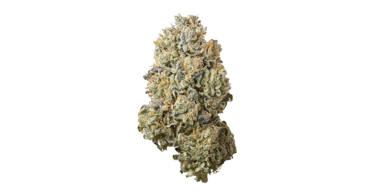 Garlic Sherb S1