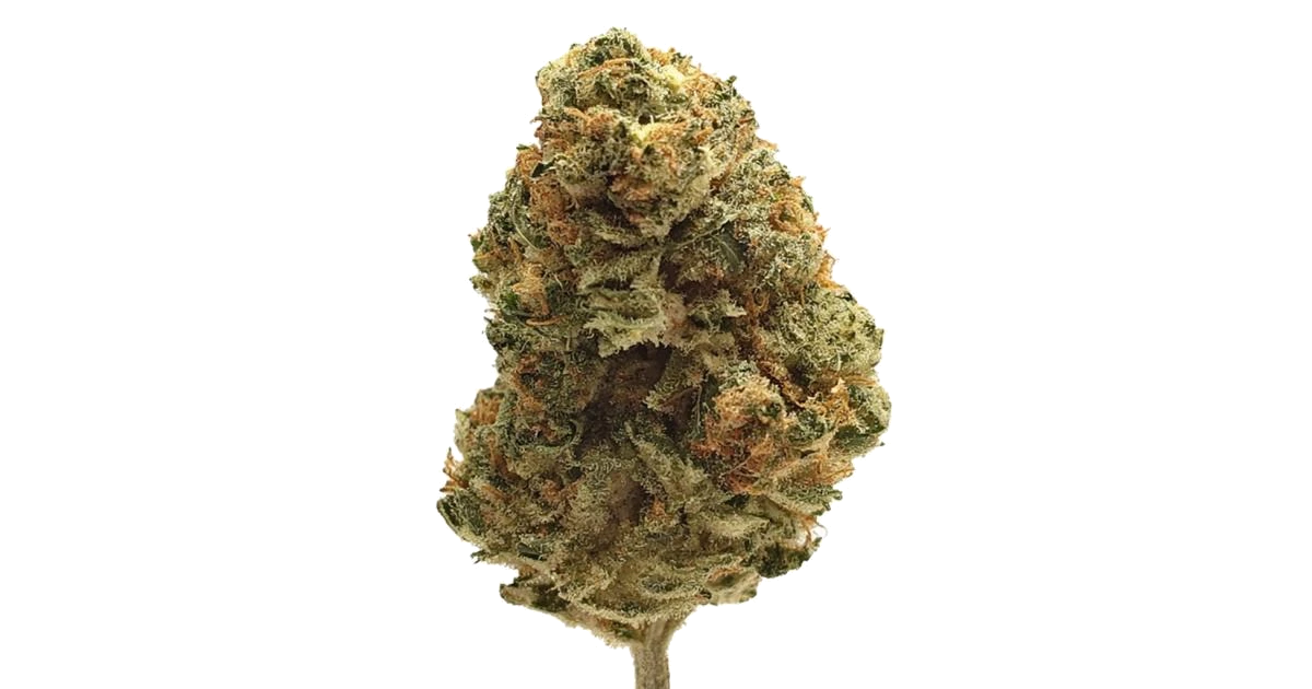 Garlotti