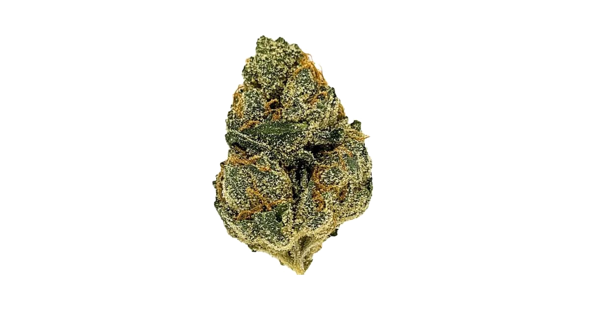 Gas Mask