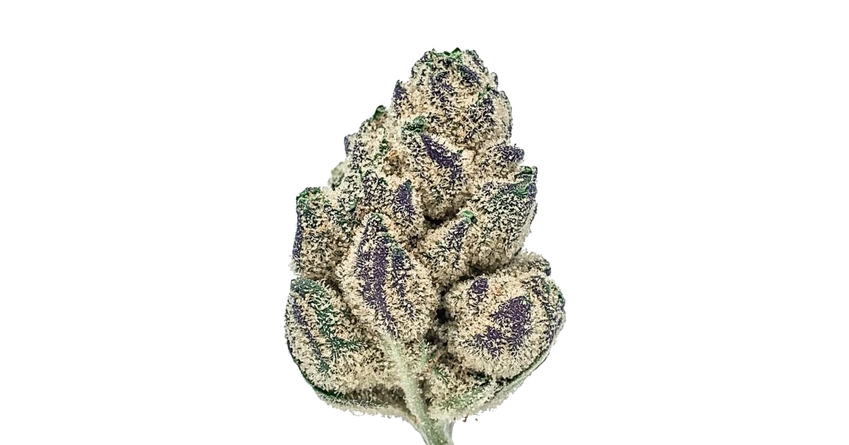 Gas Truffle