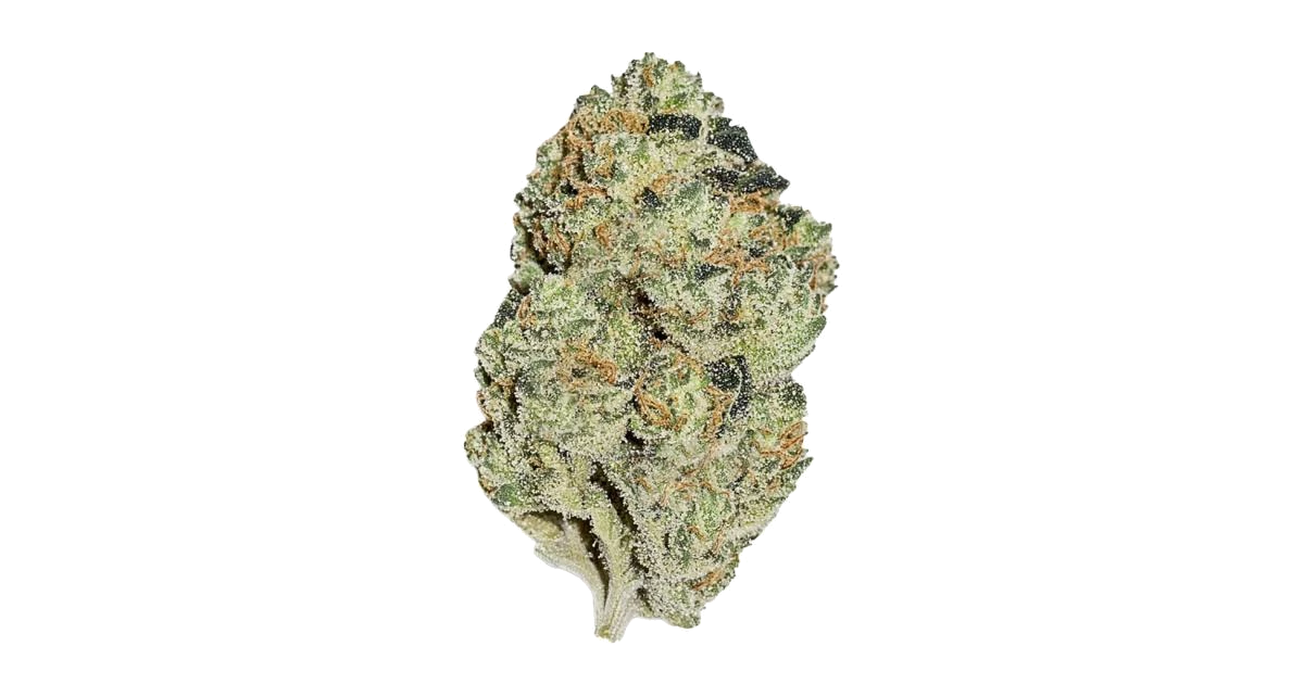 Gator Breath