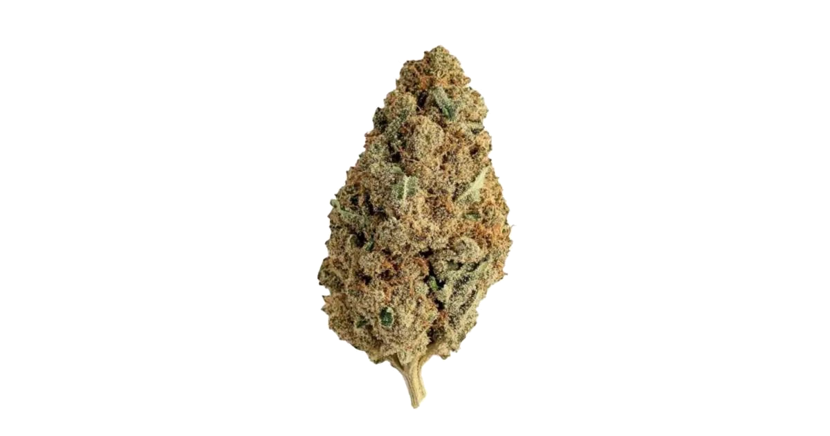 Gelato 25