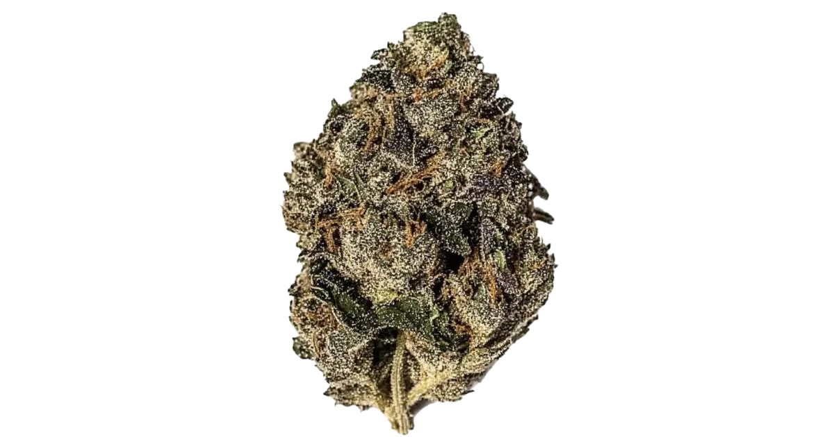 Gelato #33