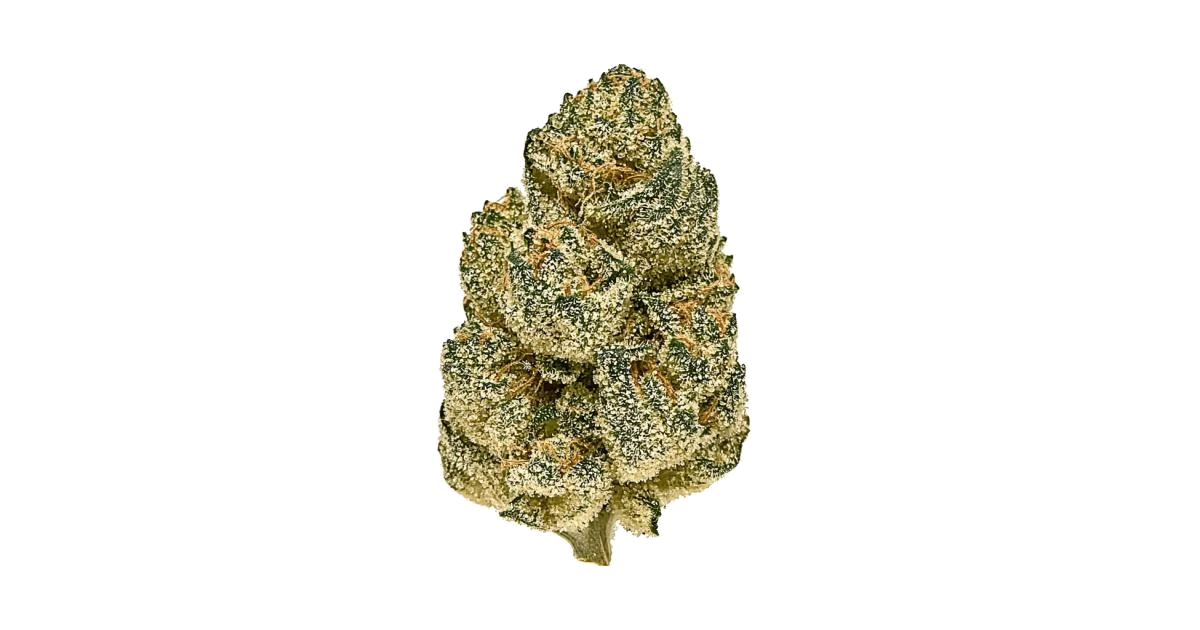 Gelato 41 BX Auto