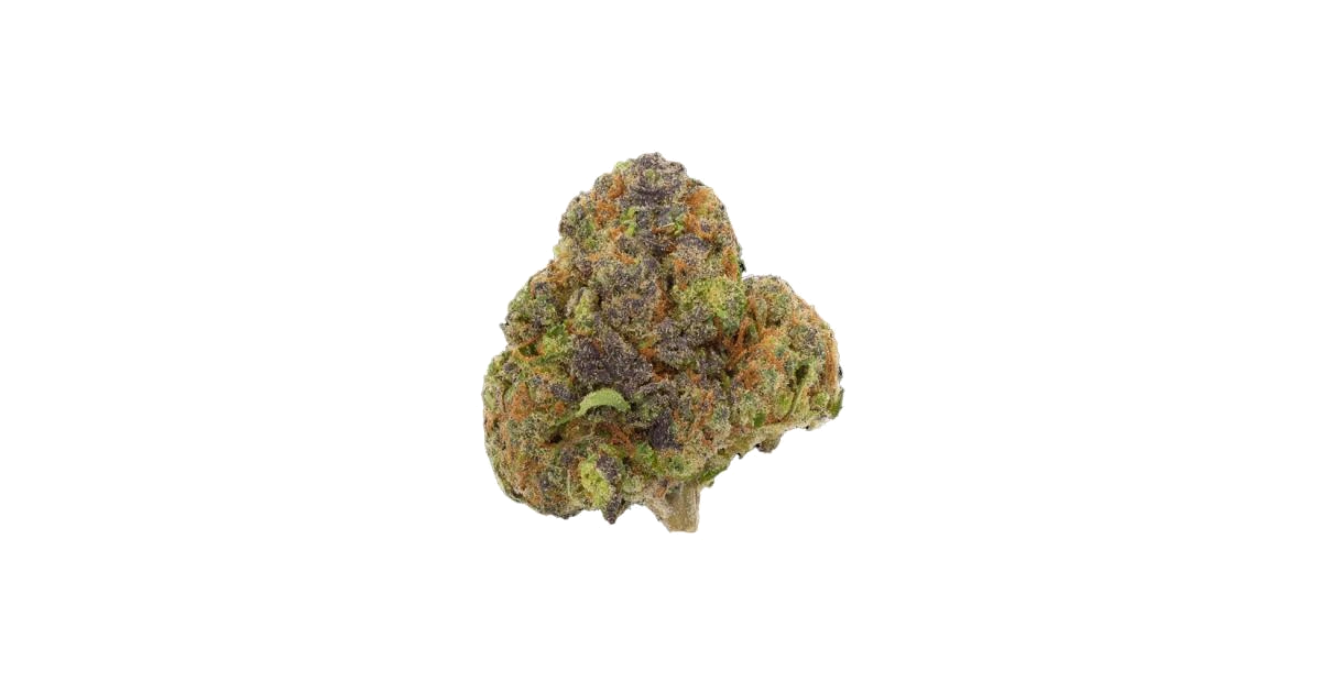Gelato 41 × Coffin Candy