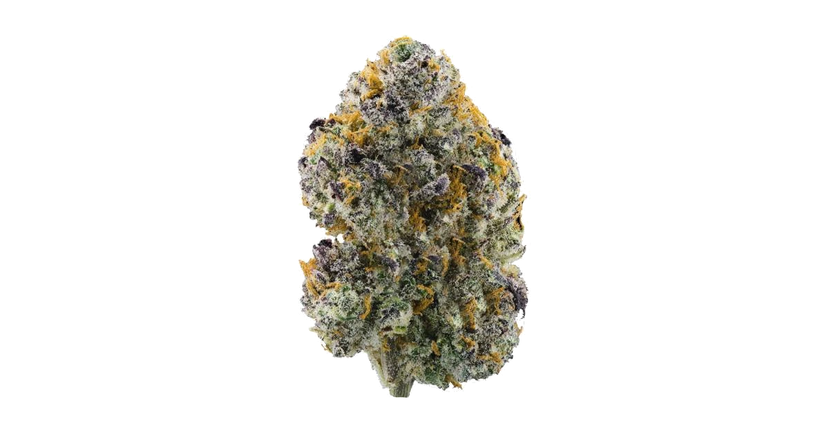 Gelato #41