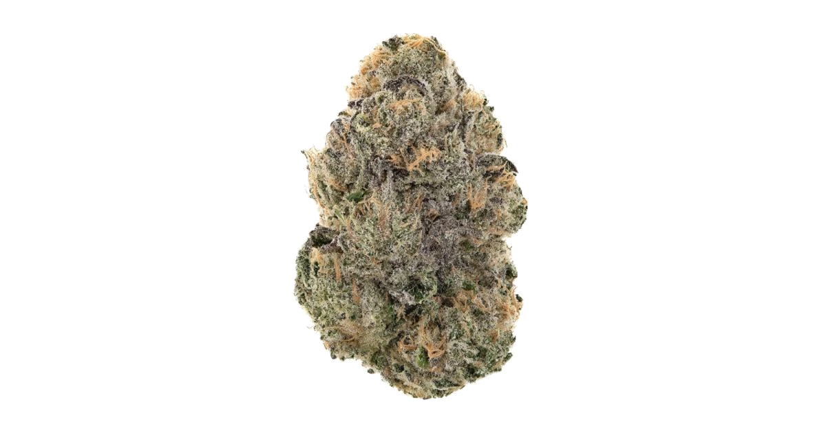 Gelato 44