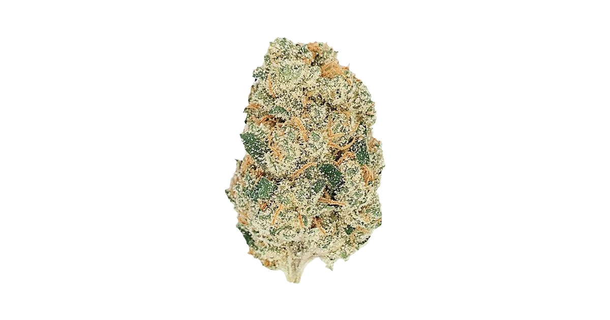 Gelato Auto