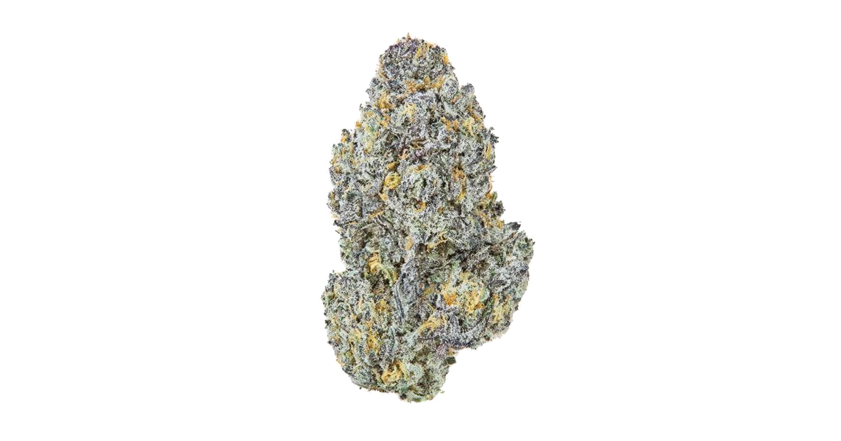 Gelato Mints