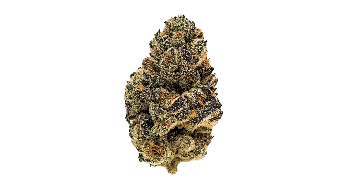 Gelato Put In Pop