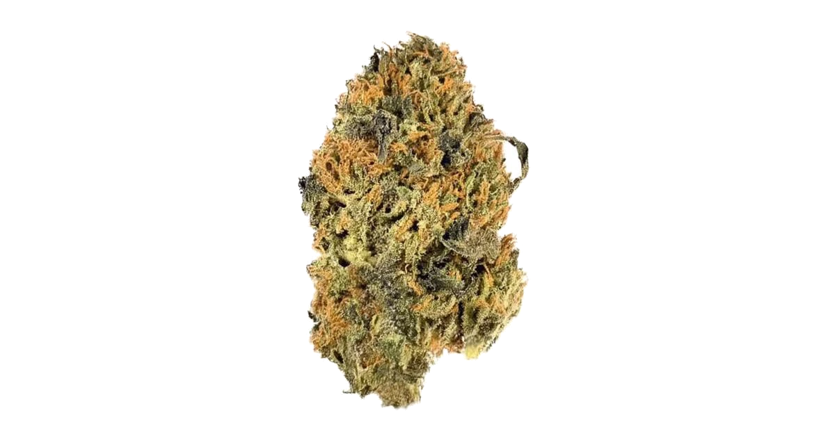Gelato Sorbet
