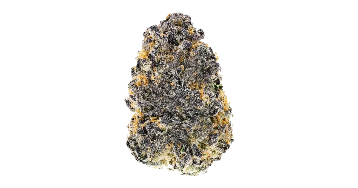 Gelato x Hollywood
