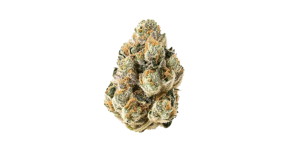 Gelato x Sour Face
