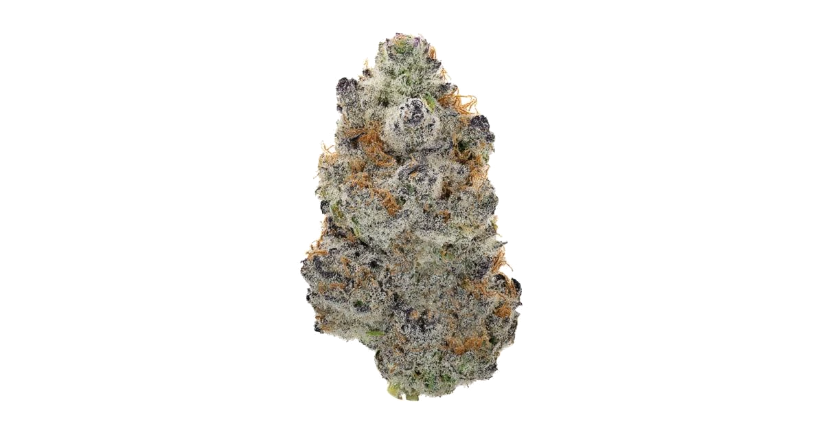 Gelato