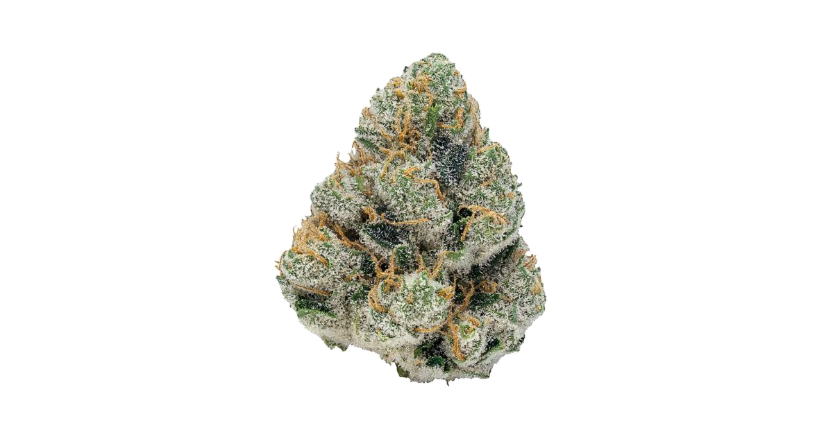 GG4 Sherbet FF