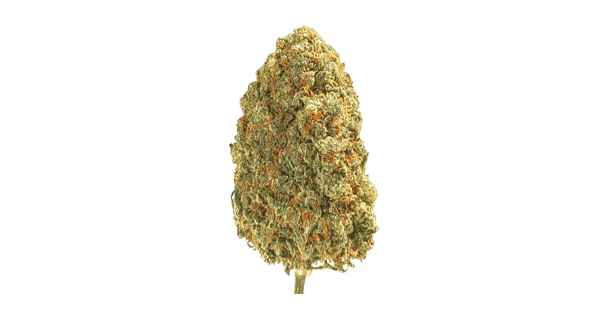 Ghost Cheese