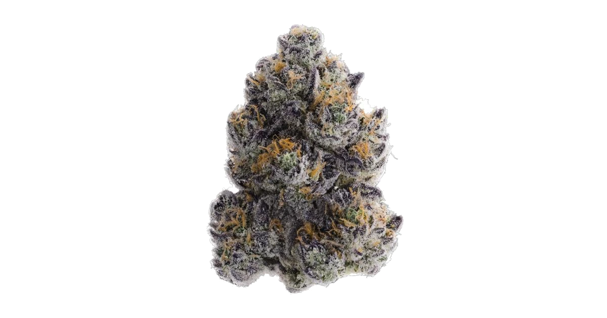 Giggin’ Grapes