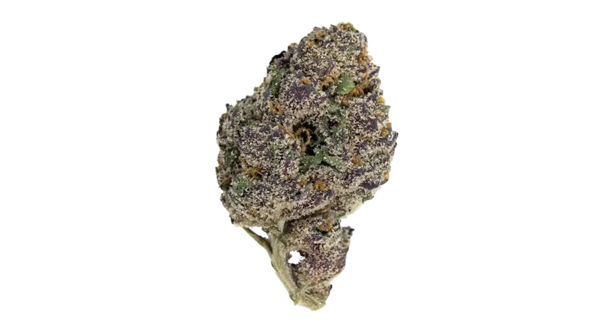 Glitter Bomb