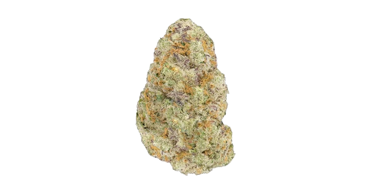 GlueBall