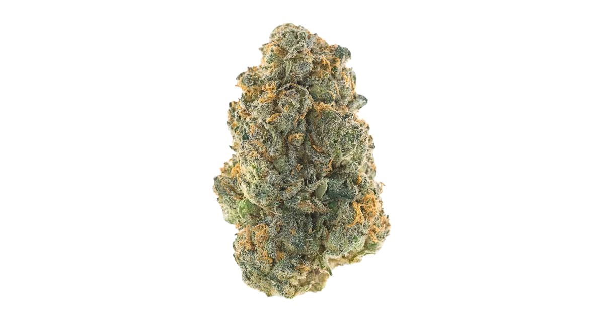 GMO Auto