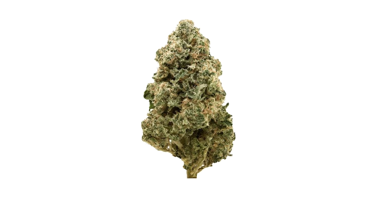 GMO Bomb