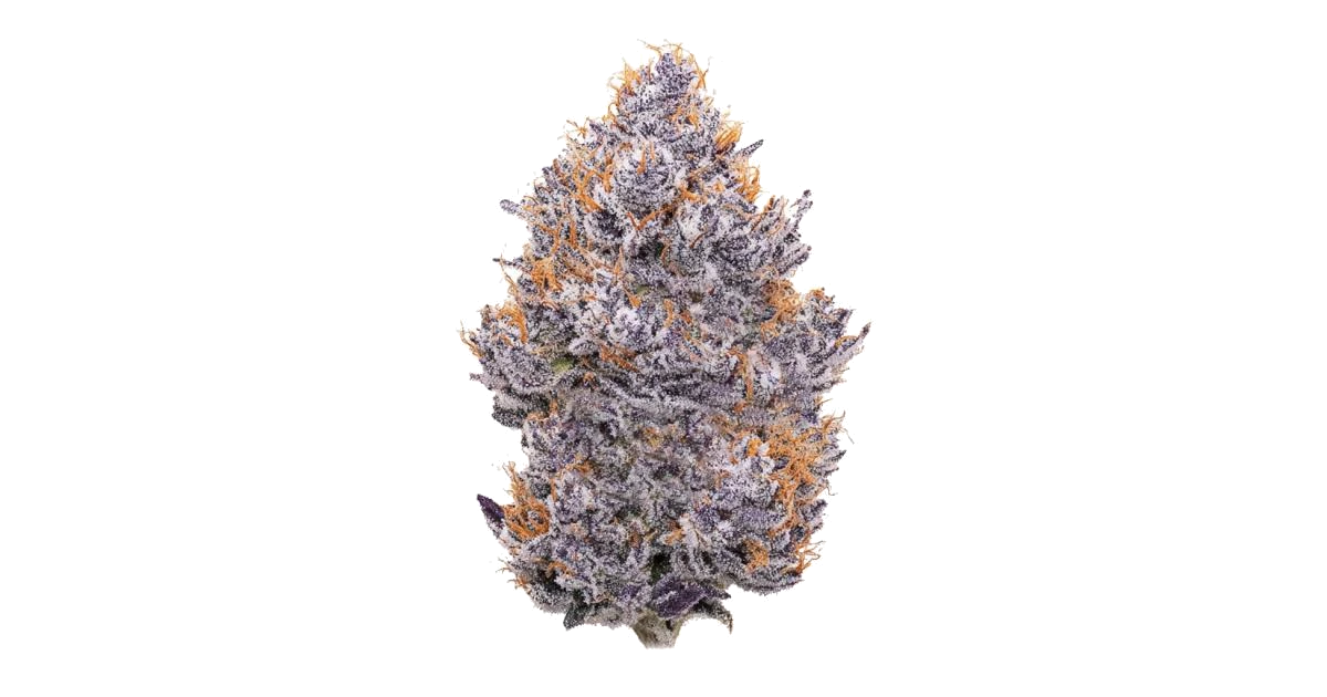 GMO Zkittlez F-1