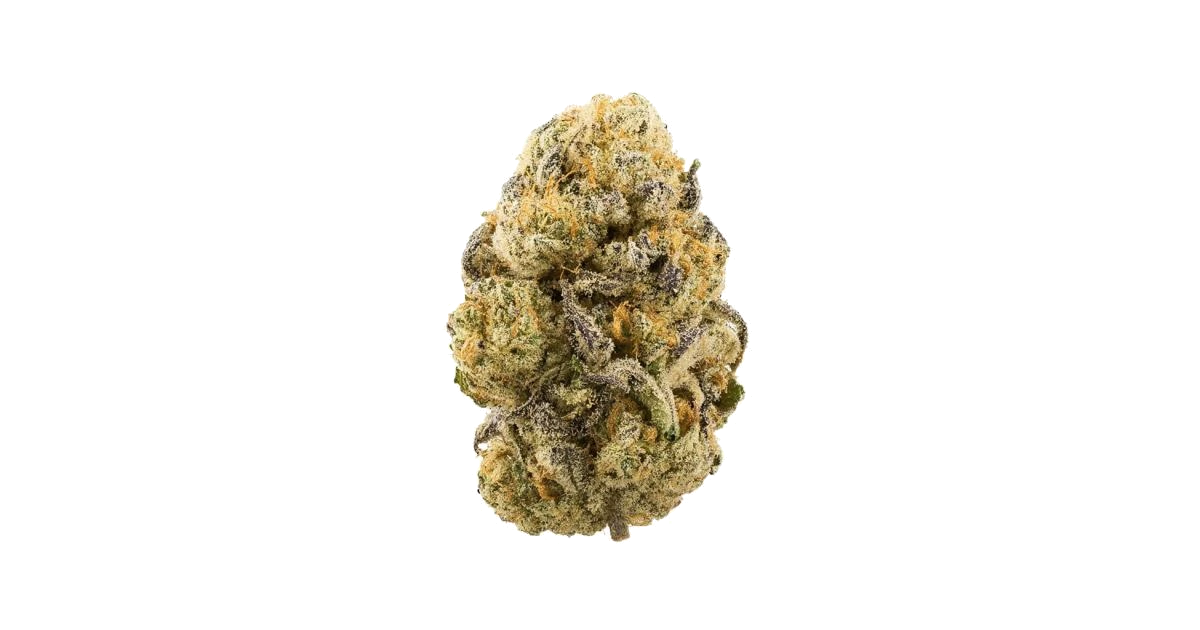 God’s Gift Hash Plant x Coffin Candy