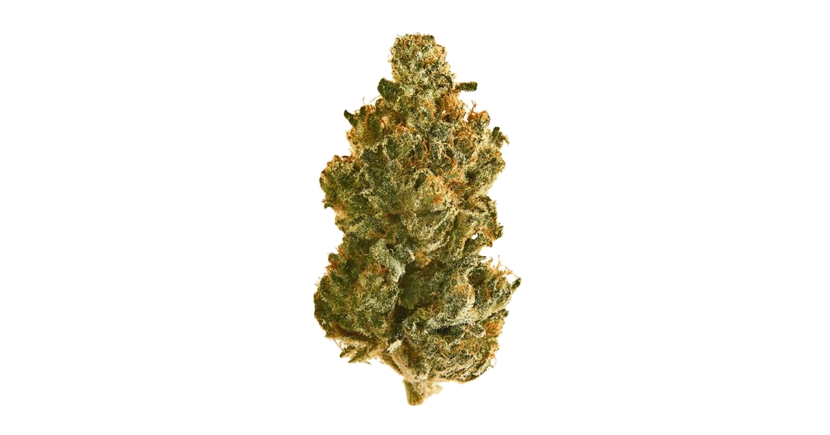 Gold Leaf