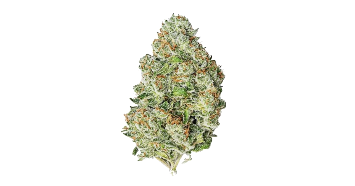 Gorilla Auto