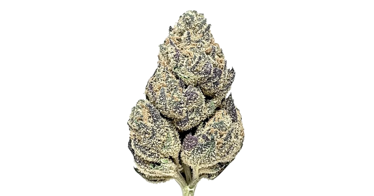 Gorilla Butter