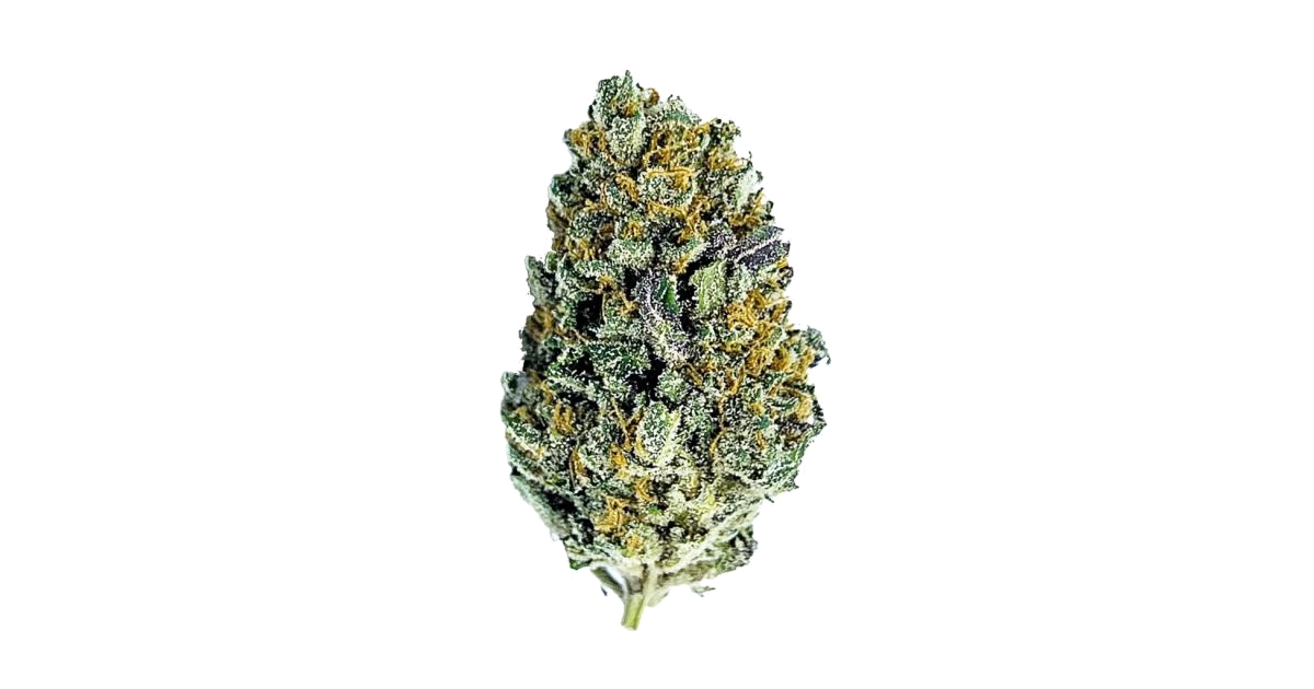 Gorilla Cookies FF