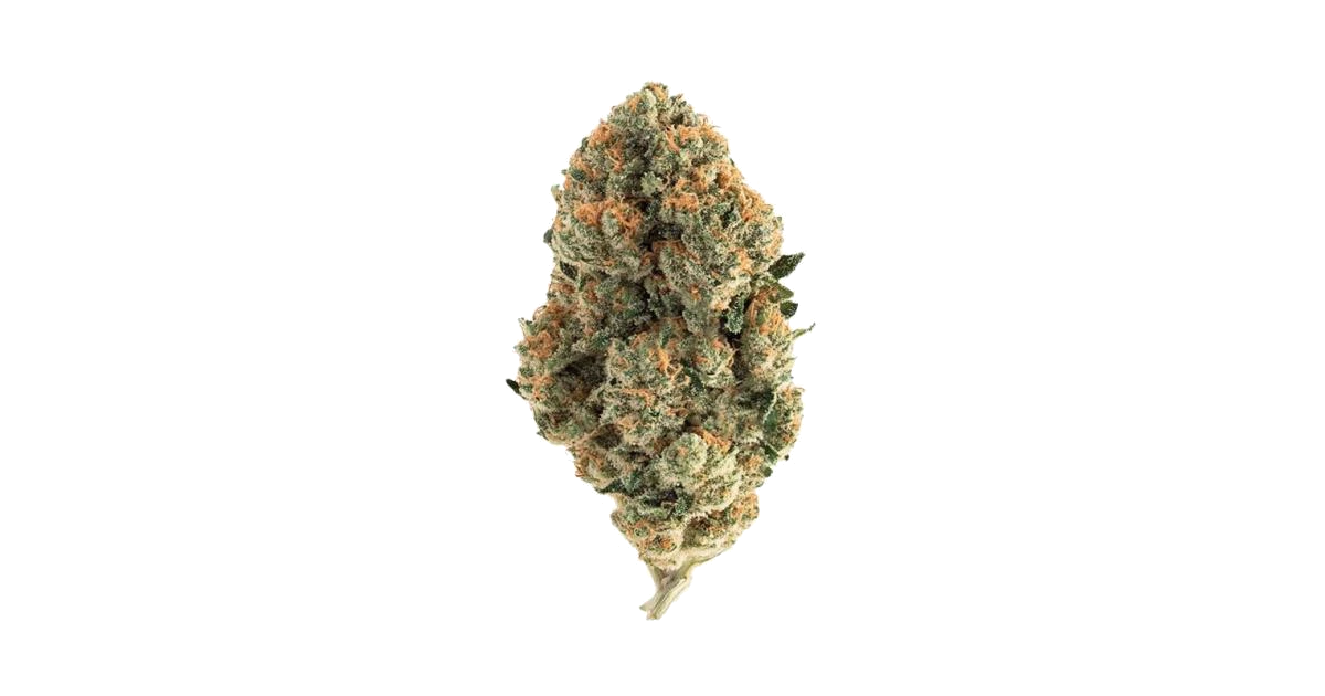 Gorilla Melon