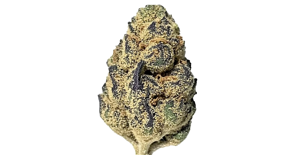 Gorilla Pie