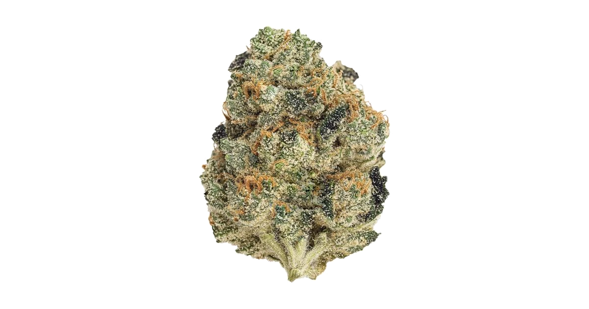 Grape Pie
