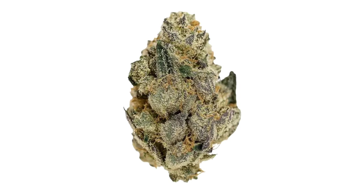 Grease Monkey