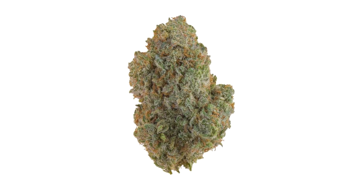 Green Poison F1 Fast Version