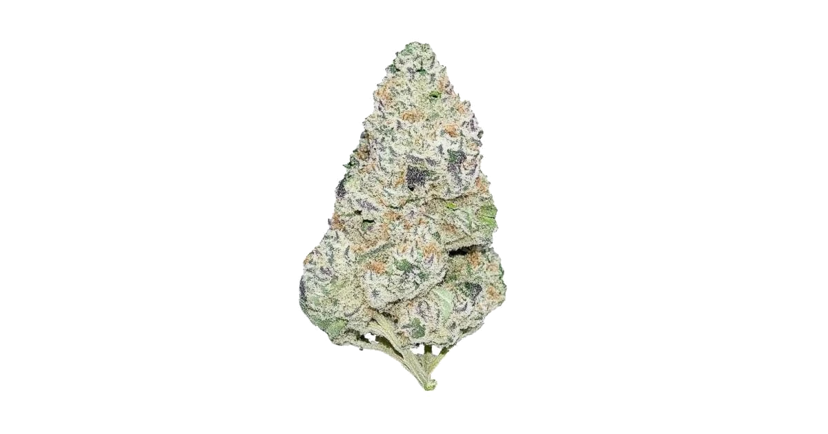 Guava Auto™