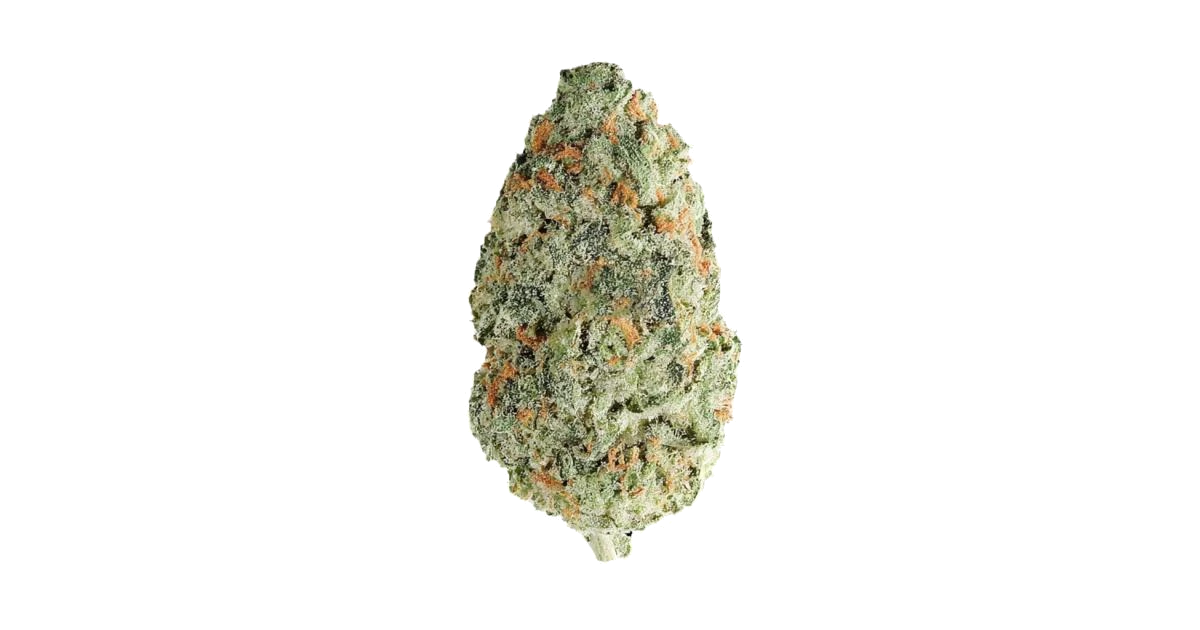Guava Geisha