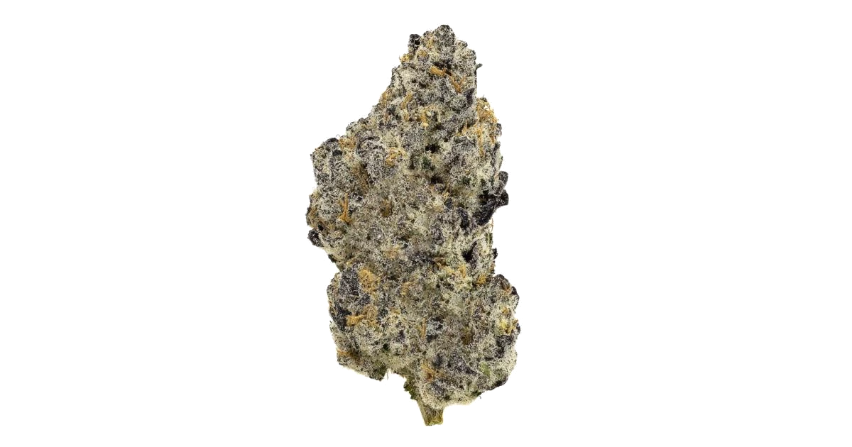Guava Lava Dawg