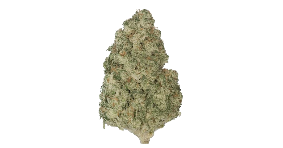 Highuasca